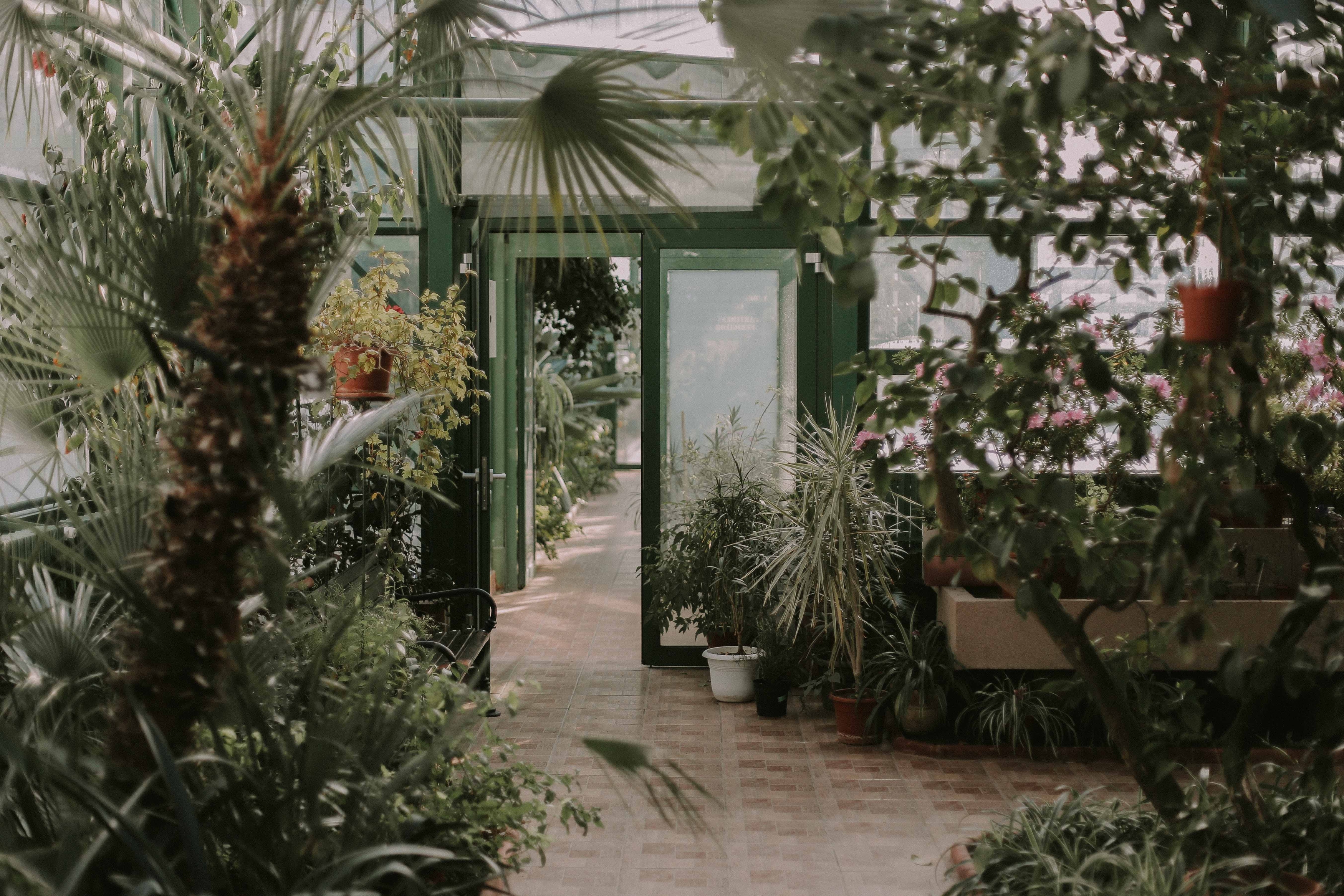 Greenhouse Interior